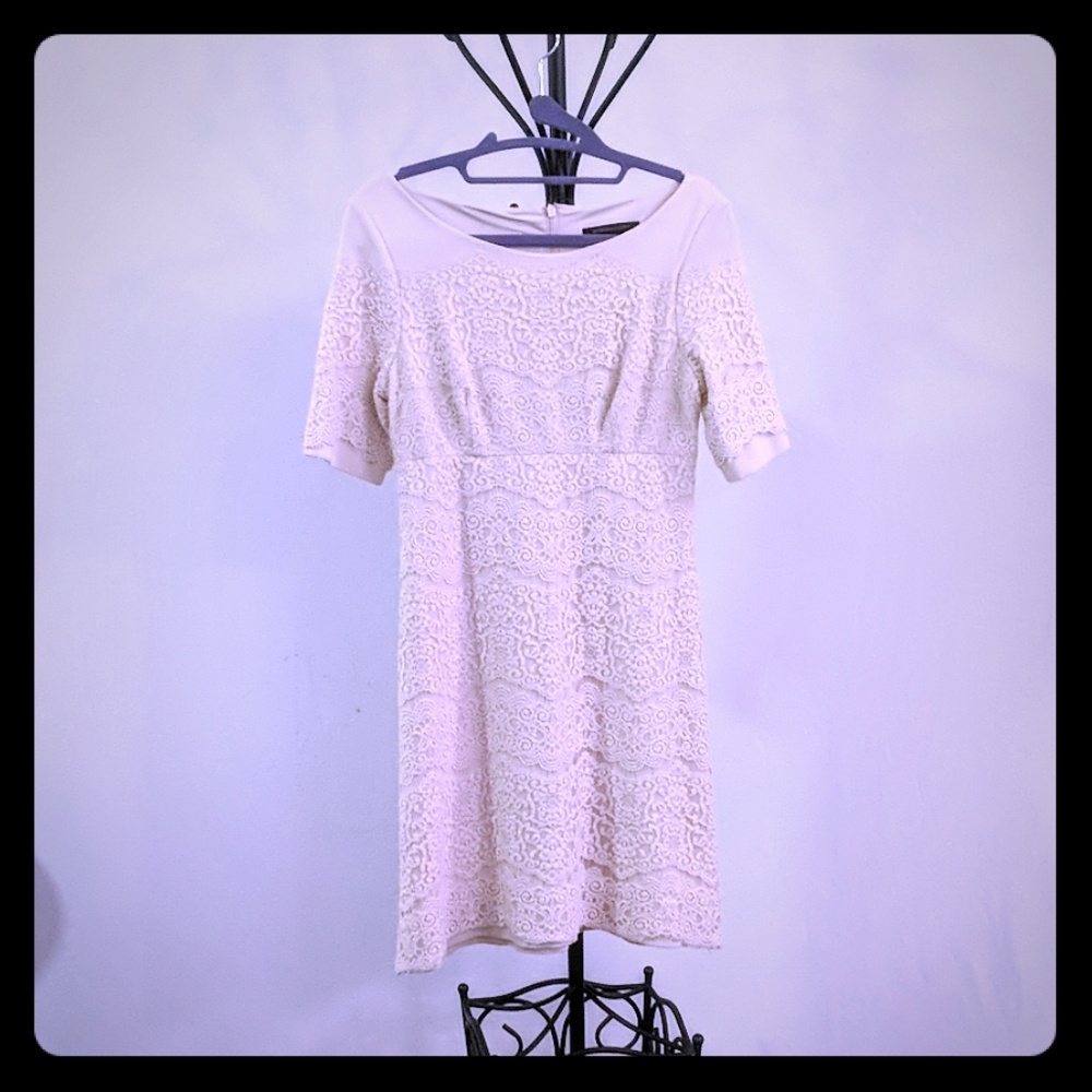 BCBGMaxazria Dress | Lace & Cream | Size 2